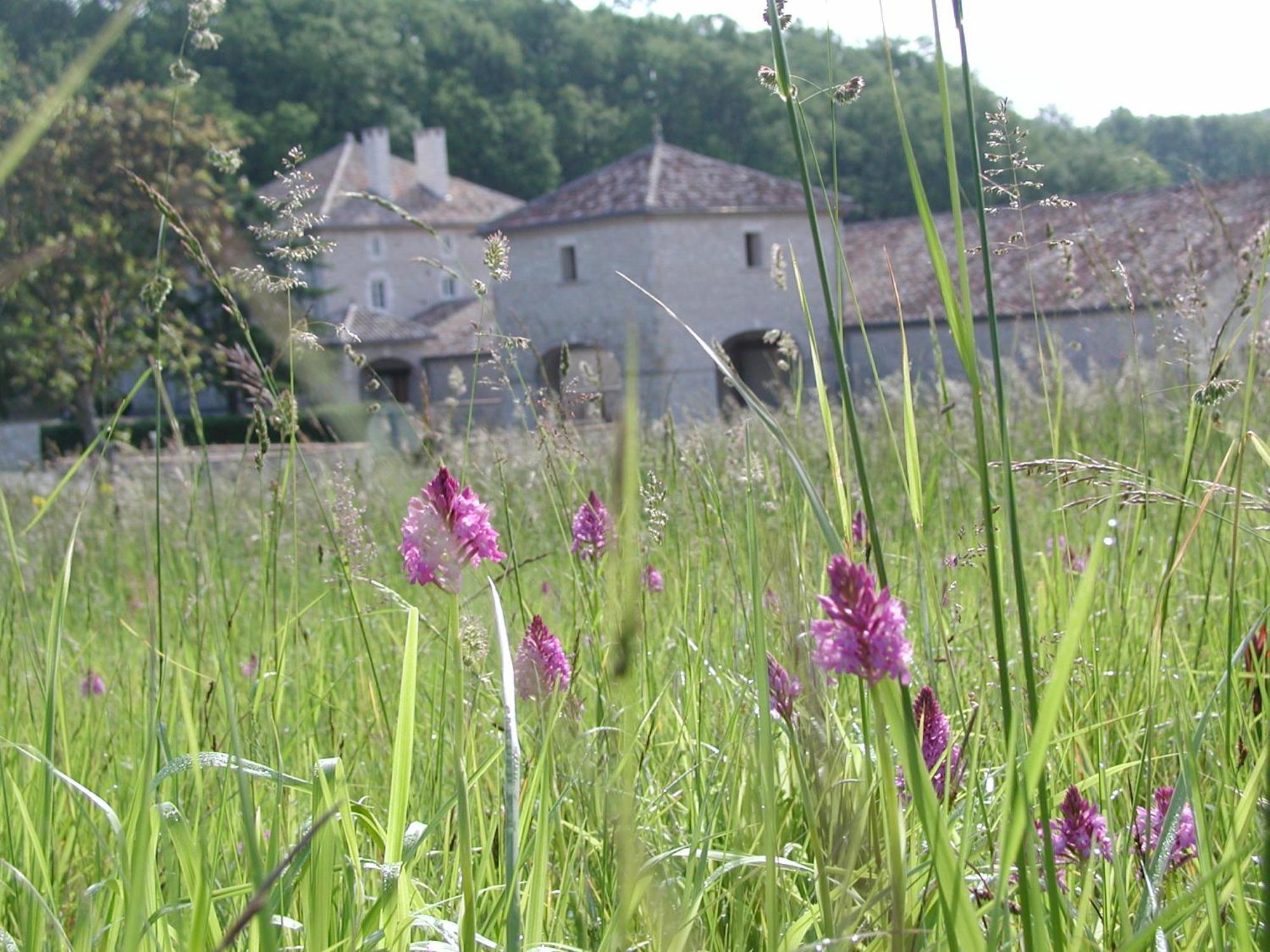Chateau Lecusse - La Grande Roche - Hotel, Spa, Boutique & Restaurant Broze Exterior photo