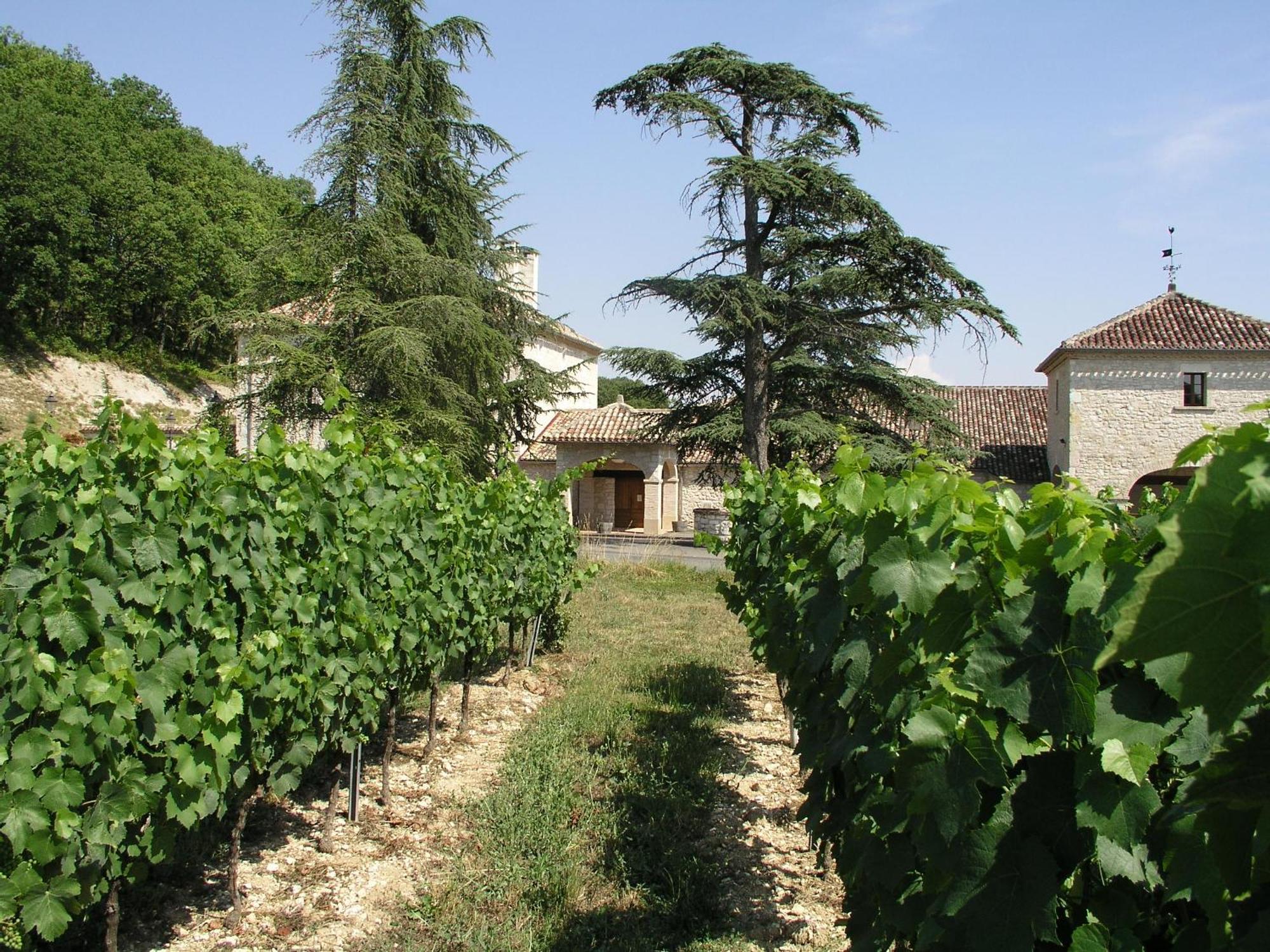 Chateau Lecusse - La Grande Roche - Hotel, Spa, Boutique & Restaurant Broze Exterior photo
